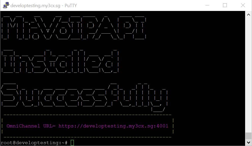 PuTTY output showing the “Installed Successfully” banner and the OmniChannel URL on port 4001